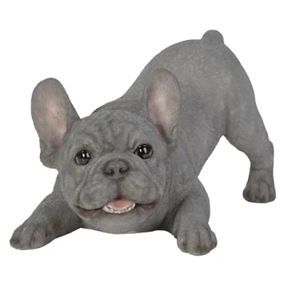 Image of Vivid Arts Active Pups Blue French Bulldog AP BFRB D
