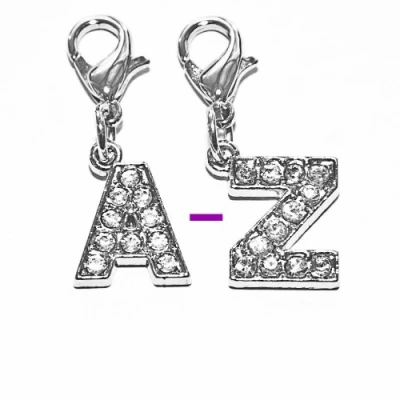 Image of SKS Diamante Bling Clip On Alphabet Letter Charm (N)