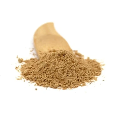 Image of Sussex Wholefoods Organic Lions Mane Mushroom Powder 100g