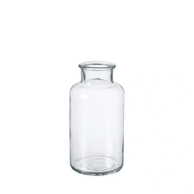 Image of OASIS Modern Clear Glass Wide Flower Jar Twig Stem Bouquet Display Vase (10 x 20cm)
