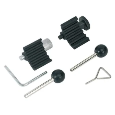 Image of 3359, T10050, T10060A, T10100, T10115 Retaining Pin, camshaft SEALEY VSE2358 VOLKSWAGEN: Passat B8 Variant