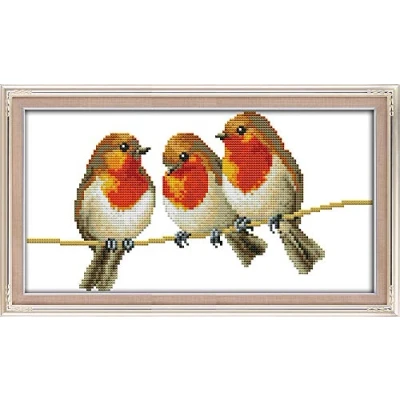Image of Cross Stitch Kits, Three Little Birds Awesocrafts Easy Patterns Stitching Embroidery Kit Supplies, Stamped Options for Adults Beginners Kids Gifts (Birds, Stamped)