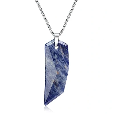 Image of COAI Stainless Steel Chain Wolf Tooth Amulet Blue Sodalite Stone Pendant Necklace