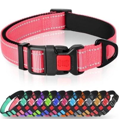 Image of Taglory Reflective Nylon Dog Collar with Safety Buckle, Adjustable Pet Collars Soft Neoprene Padding for Small Dogs, Baby Pink