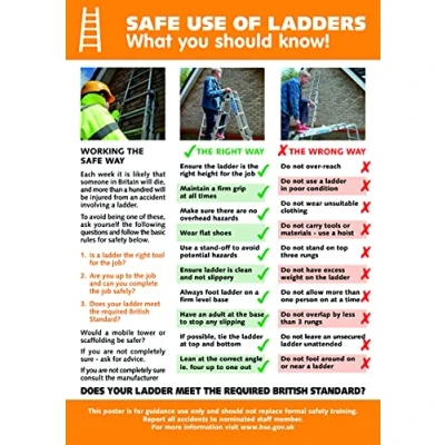 Image of Seco Safe Use Of Ladders What You Should Know! Poster, A2 (420mm x 594mm) 0.5mm PVC