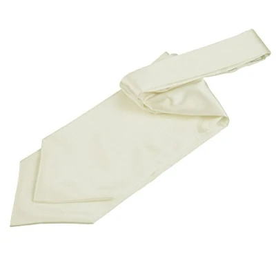 Image of DQT Men Plain Satin Wedding Formal Casual Groom Best Man Classic Ascot Self Tied Cravat Ivory