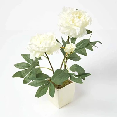 Image of HOMESCAPES Artificial Cream Peonies in Matt Pot, 48cm tall Indoor Faux Peony Flower