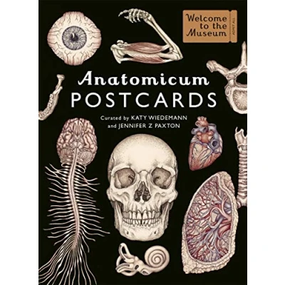 Image of Anatomicum Postcard Box