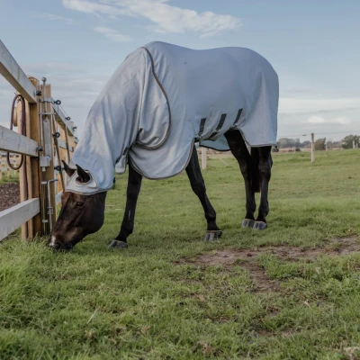 Image of Kentucky Horsewear Eczema Rug With Hood 6&#039;9&quot; Tan Rugs Horse &amp; Equestrian