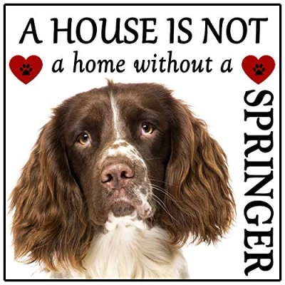 Image of Springer Spaniel Dog Gift &quot;House is not a Home&quot; Fridge Magnet, size 5&quot; x 5&quot;.