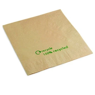 Image of GH031 Recycled Kraft Napkins, 2 Ply (Pack of 2000)
