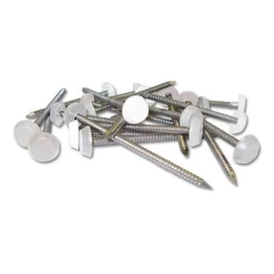 Image of 250 x UPVC 40mm Poly Top Pins Nails Plastic Headed Fascia Fixings (White)