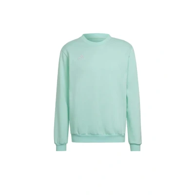 Image of adidas Performance Entrada Sweatshirt, Men&#039;s, Size: Small, Turquoise