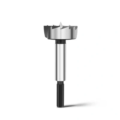 Image of Forstner Drill Bit 40 mm for Wood, Bits Diameter mm, Length 90 with 8 Hexagonal Shaft
