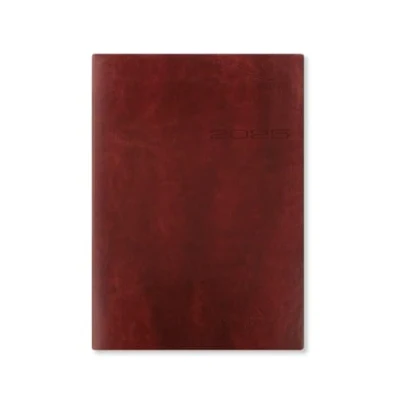 Image of Letts of London Lecassa A5 day to page with appointments 2025 diary brown
