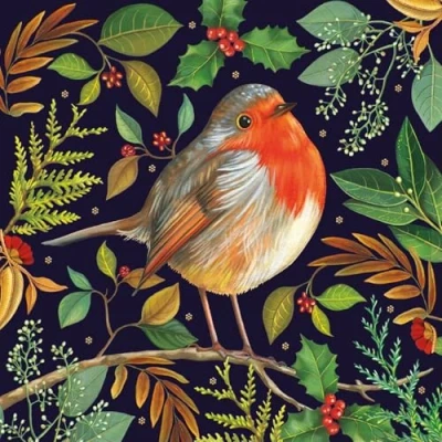 Image of Museums &amp; Galleries Charity Christmas Cards Robin Festive Branches Eco Friendly and Recyclable Pack of 8