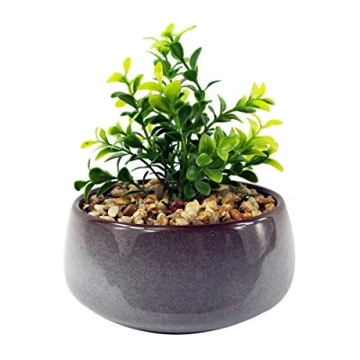 Image of Leaf Ceramic Blue Dish Planter Office Desk Plant, Artificial Crassula, 16cm