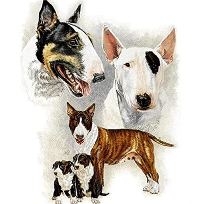 Image of 5D Diamond Painting Full Kit Round Drill Pit Bull Terrier Dog 30x40cm Art for kids by Number Crystal Embroidery Rhinestone Cross Stitch Arts Craft Home Wall Decor Gifts(12x16in)
