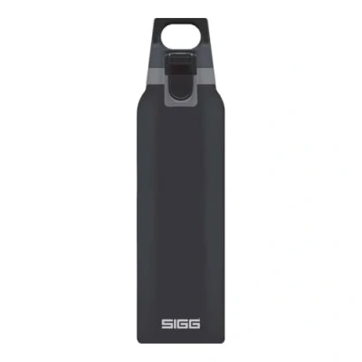 Image of SIGG Insulated Water Bottle Thermo Flask Hot &amp; Cold One With Tea Filter Leakproof BPA Free 18/8 Stainless Steel Grey 0.5L
