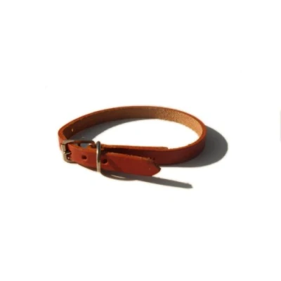 Image of Bridle Leather Dog Collar (Red, 12&quot; x 3/8&quot; (inches))