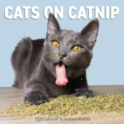 Image of Cats On Catnip Calendar 2026