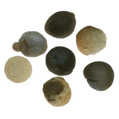 Image of CrystalAge Chalcedony Womb Stone Medium