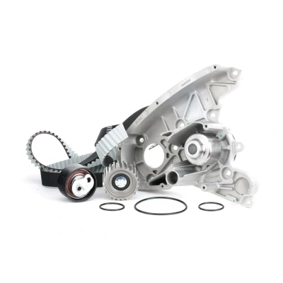 Image of 71771581 Water Pump + Timing Belt Kit DAYCO KTBWP3390 FIAT: Ducato III Platform / Chassis, Van, II Platform/Chassis, IVECO: Daily 6