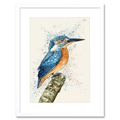 Image of Wee Blue Coo Kingfisher Watercolour Framed Wall Art Print