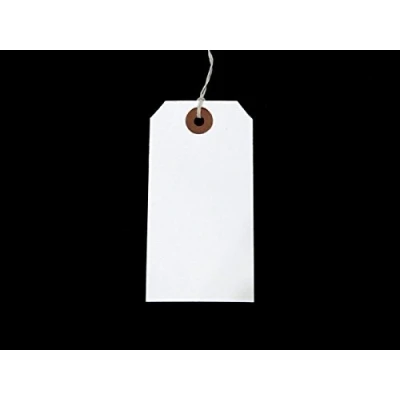 Image of White Strung Tags 120mm x 60mm Reinforced Luggage Tie On String Labels (50 Pack) Ivy