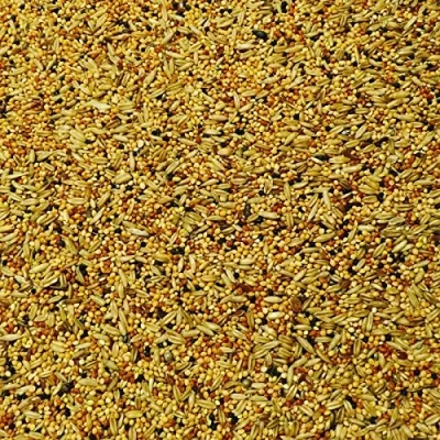 Image of SkyGold Budgie Tonic 12.5Kg Cage and Aviary Food