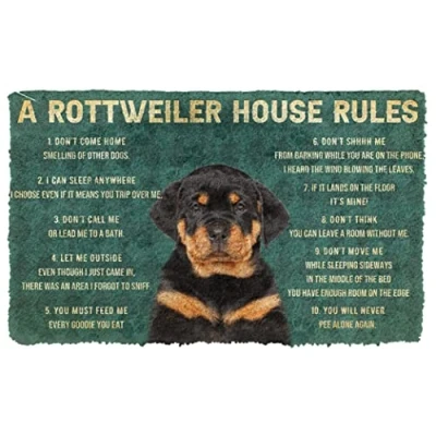 Image of Door Mat Indoor Entrance Porch Welcome Funny Flannel Floor House Rules Rottweiler Dog Doormat Personalized Gifts Home Decor Housewarming 30x18 Inch