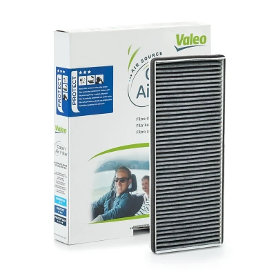 Image of 7701056389, 7701056390 Pollen Filter VALEO CLIMFILTER PROTECT 698737 Activated Carbon 384mm 158mm 34mm RENAULT: ESPACE 4