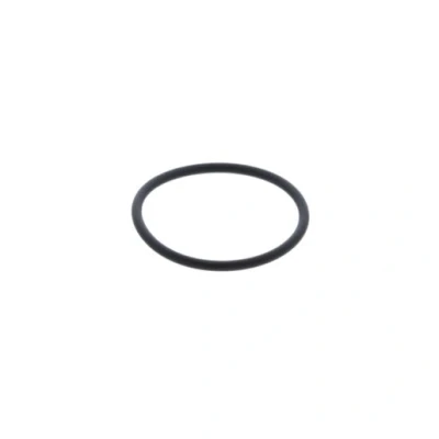 Image of Heatrae Sadia O Ring For Heater Single 1mm 95611810