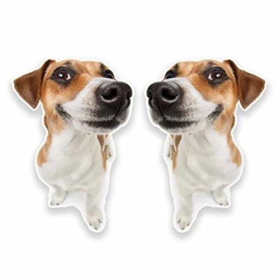 Image of 2 x 10cm Funny Jack Russell Vinyl Stickers Decals Laptop Car Bike Dog #9635 (7cm Wide Tall)