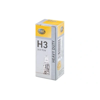Image of 5949812268 Light Bulbs HELLA 8GH 002 090 251