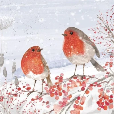 Image of Paperlink Charity Christmas Cards Jolly Robins and Berries with Foil Details Eco Friendly Recyclable Pack of 6