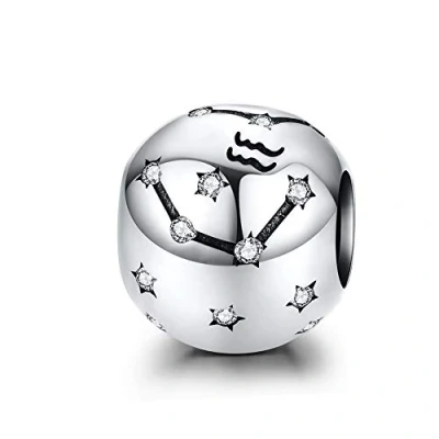 Image of 925 Sterling Silver Constellation Charm Aquarius Birthday Anniversary Faith Letter Family DIY Christmas for Pandora Bracelet (Aquarius（1.20 2.18）)
