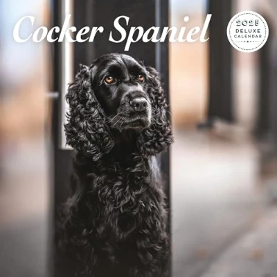 Image of Cocker Spaniel 2025 Deluxe Calendar