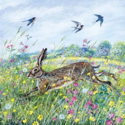 Image of Female Birthday/Blank Card General for Women/For Her Hare and Swallows Artistic Countryside Design by Lucy Grossmith Made in the UK