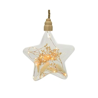 Image of Lumineo 15 Warm White Micro LED Decorative Star Light