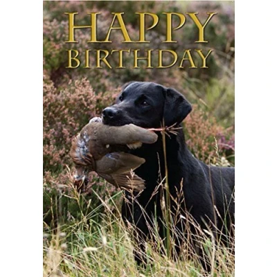 Image of Labrador Birthday Card. retriever with partridge perfect for people who like shooting and field sports. By Charles Sainsbury Plaice