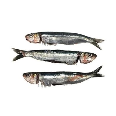 Image of Sardines, Scaled &amp; Gutted, Fresh, 2kg