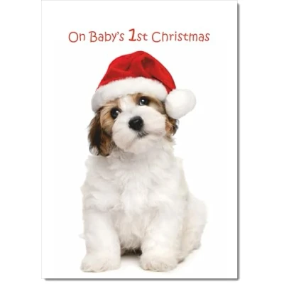Image of doodlecards Babys 1st First Christmas Card Dog and Santa Hat Medium Size for with Plain Envelope