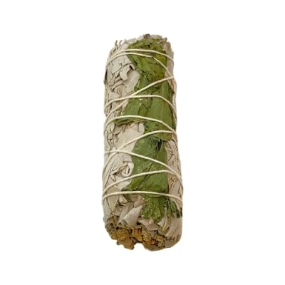 Image of VIE Smudge Stick, White Sage and Basil 4&quot;