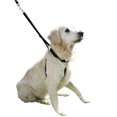 Image of Kerbl Maxi Leader Training Harness Set, Size 3, Black