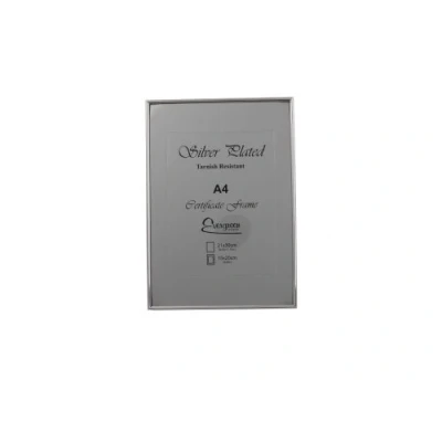 Image of Evergreen Frame, Silver Plated, A4