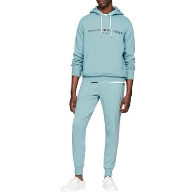 Image of TOMMY Hilfiger Men&#039;s LOGO HOODY Sleepy Blue XS