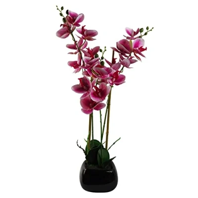 Image of Leaf Design UK Artificial Orchid Natural Look