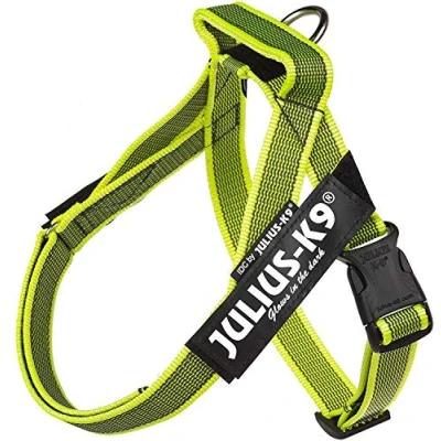 Image of Julius K9, IDC Color &amp; Gray Belt Harness, Size: XS / Mini Mini, Neon
