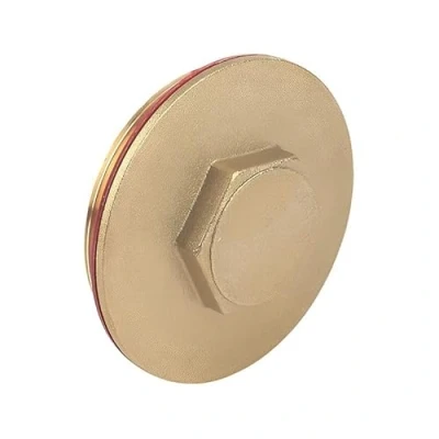 Image of 2.1/4&quot; Brass Immersion Heater Plug &amp; Washer (Known as Washer/Flange Washer/Immersion Plug)